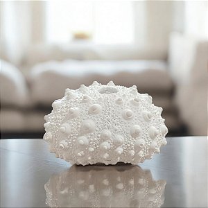 Enfeite Concha de Ouriço Branco em Resina 5x9x7,5