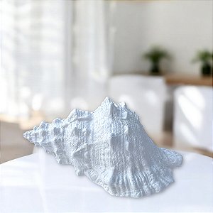 Enfeite Concha Branca em Cerâmica 17,5x11,5x9