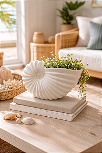 Vaso Concha Nautilus Branco em Cerâmica 14x20x10 cm