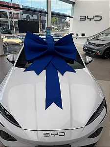 Laço Gigante com faixa para Showroom – Destaque Perfeito para Exposição de Veículos