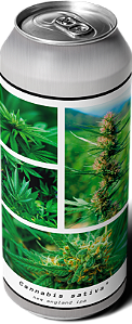 Cerveja Greenhouse - Cannabis Sativa