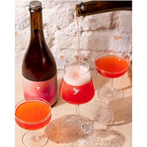 Cerveja Trilha - Framboesa Brut