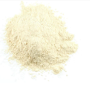 Cebola em Pó