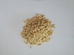Risoto Integral