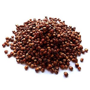 Sorgo em Grão