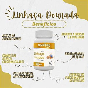 Óleo De Linhaça Dourada 1000mg 60 Cáps | ApisNutri