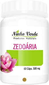Zedoária 500mg 60 Cápsulas- Ninho Verde