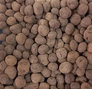 Banana Passa Drageada Trufada com Chocolate Belga Meio Amargo -5kg