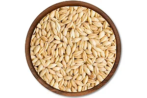Cevada Perolizada - 25kg