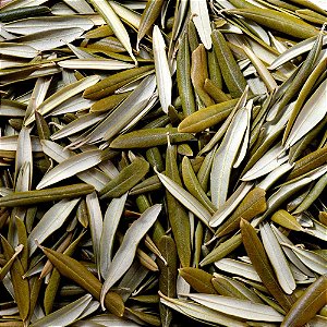 Folha de Oliveira - 5kg