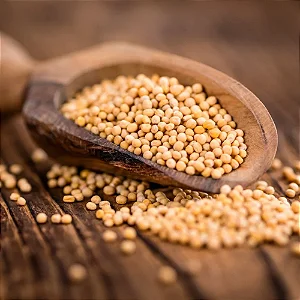 Mostarda Amarela Grão Canadense -12,5kg