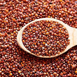 Quinoa Grão Vermelha Peruana Importada - 25kg