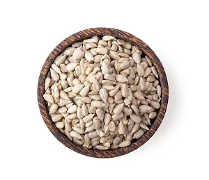 Pepita de Girassol Crua Búlgara Importada - 5kg