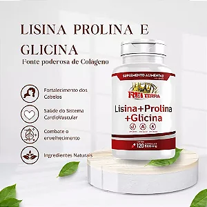 Lisina + Prolina + Glicina 120 Cápsulas - Rei Terra