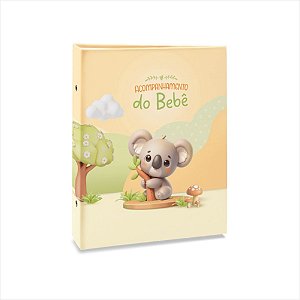 Album para 80 fotos 15X21  BEBE ACOMPANHAMENTO 84