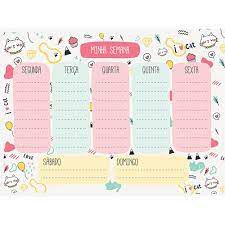 PLANNER GATOS 23X17 C/24FLS 76005