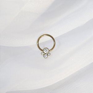 Argola 4 Zircônias Inglesas - Titânio
