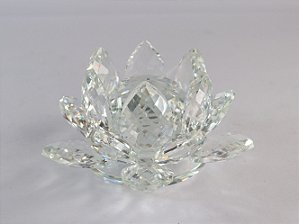 Flor de Lotus Cris. LH 40TS2 (11cm)