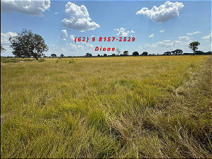 FAZENDA  EM ARUANÃ: 400 alqueires.