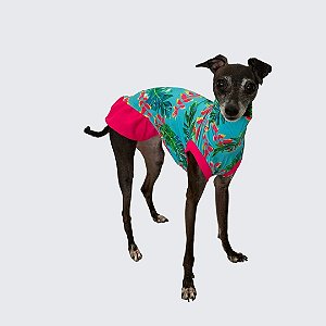 VESTIDO DE GALGO ITALIANO UV BELLA