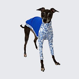 CACHARREL DE GALGO ITALIANO UV CAMU AZUL