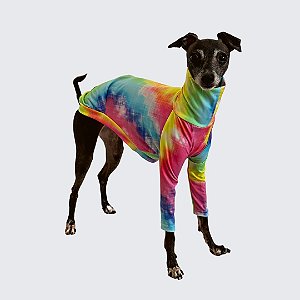 CACHARREL DE GALGO ITALIANO UV FESTA