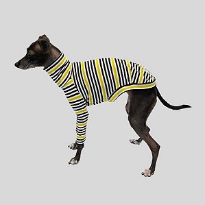 CACHARREL DE GALGO ITALIANO MALHA LINE YELLOW BLACK