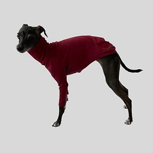 CACHARREL DE GALGO ITALIANO SUE BORDO