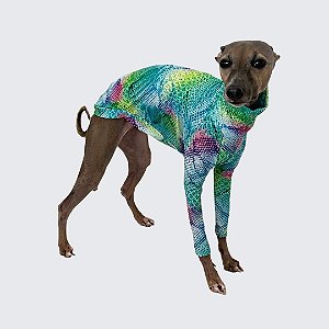 CACHARREL DE GALGO ITALIANO UV ESCAMA