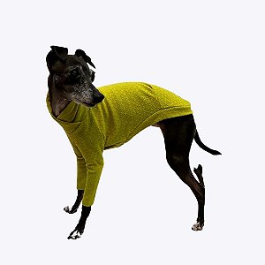 CACHARREL DE GALGO ITALIANO TRICO BRISA AVOCATO
