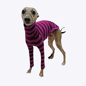 CACHARREL DE GALGO LISTRAS FUCSIA - sob encomenda