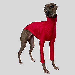 CACHARREL DE GALGO ITALIANO UV POPSTAR RED