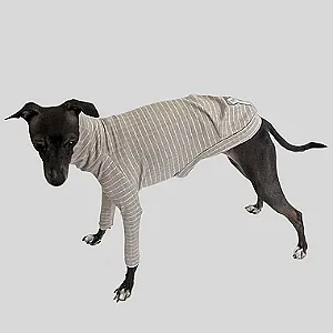 CACHARREL DE GALGO CANELADA LINE AREIA