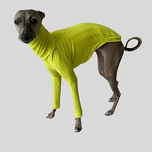 CACHARREL DE GALGO CANELADA VERDE NEON