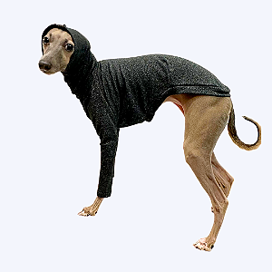 CACHARREL DE GALGO GREY