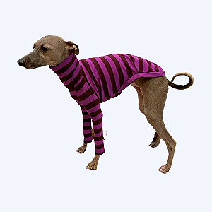 CACHARREL DE GALGO LISTRAS FUCSIA