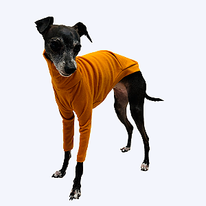CACHARREL DE GALGO SUE MOSTARDA