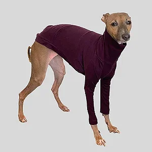CACHARREL DE GALGO SUE WINE