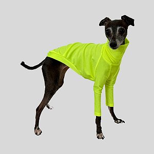 CACHARREL DE GALGO UV POPSTAR AMARELO NEON