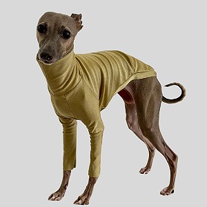 CACHARREL DE GALGO UV POPSTAR GOLD