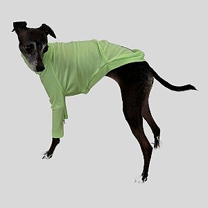 CACHARREL DE GALGO UV POPSTAR MENTA