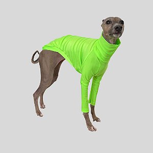 CACHARREL DE GALGO UV POPSTAR VERDE NEON