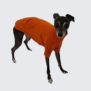 CAMISETA DE GALGO MALHA ALGODÃO CARAMELO