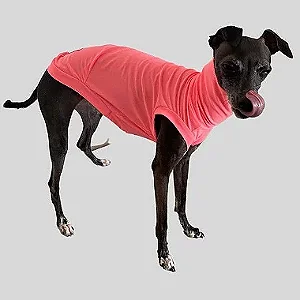 REGATA DE GALGO UV LARANJA NEON