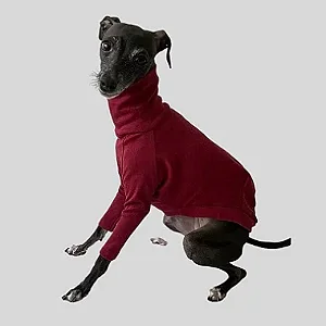 Sob Medida - CACHARREL DE GALGO SUE BORDO