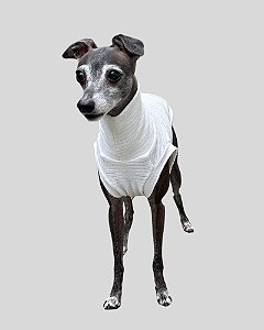 REGATA DE GALGO BRISA BRANCA – sob encomenda