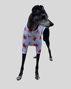 CAMISETA DE GALGO ALGODY RAPOSA - sob encomenda