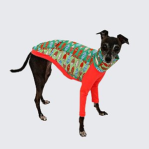 CACHARREL DE GALGO ITALIANO UV PEIXINHO
