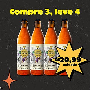 Compre 3, Leve 4 - GRAPE ALE - Garrafas 500ml