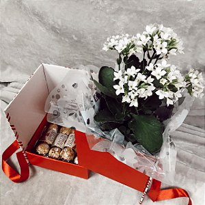 Caixa Surpresa Flor e Ferrero  Cod C 019
